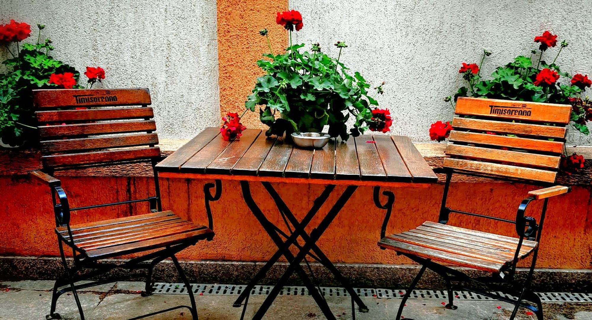 Bucur 9 Hotell Bukarest Exteriör bild